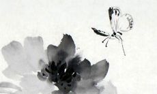 给宝宝起个小名怎么取 名字推荐