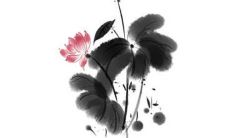 75年兔的2022运势