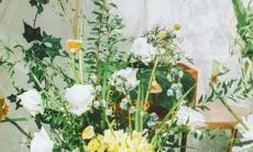 楚乔传人物星座表