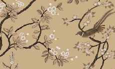 2022年天蝎运势图片