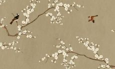 属虎人如何化解本命年太岁