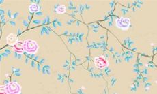 天蝎座女生的开放程度