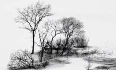 2022生肖狗运势最好的月份