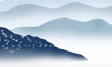 生肖猪在2022年全年运势