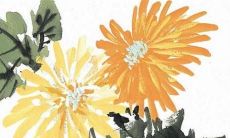 2022属虎74年运势