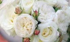 给跪了！12星座怎样机智地拒绝奇葩要求？