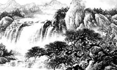 属狗人：2022年吉利色是什么 忌讳颜色