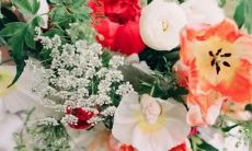 哪些星座对哪些狗