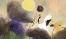 生肖鸡辛酉2022运势