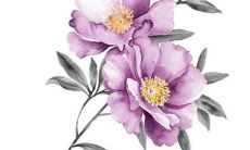 61年鼠2022年运势如何