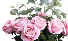 十二星座适合打王者荣耀的那些位置