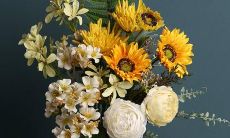 2月4日星座运势查询