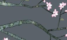 属鼠女2022年桃花运势