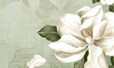 缺木的女孩2022运势怎么样