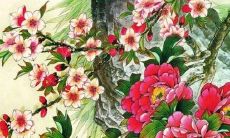 什么生肖不适合戴玉镯