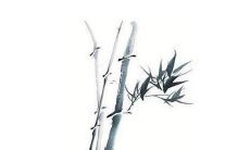 2022年农历5月出生的虎宝宝