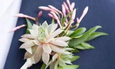 最爰读书的星座