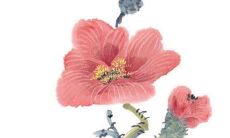 24岁虎1年属虎人命里缺什么