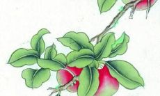 2022年生肖鸡运势完整版每月