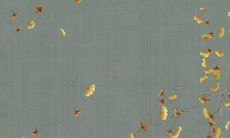 2022年哪些属相犯太岁