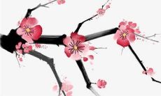 2022壬寅年丙火命人运势