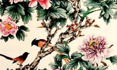 本命年虎年犯太岁是什么意思