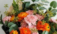 十=星座的守护者