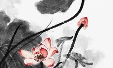 虎年取名带什么偏旁