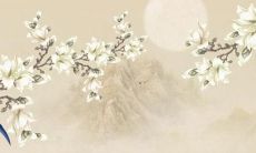 摩羯女2022六月运势详解