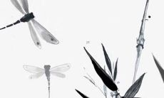 牛年出生的宝宝小名取名大全 可爱乖巧的名字