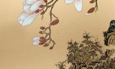 丙戌龙2022年运势