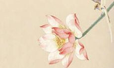 2022年属龙每日运势