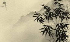 属虎戴金好还是戴银好