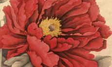 82年女2022年整体运势