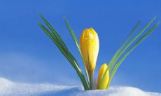 哪个星座男最爱巨蟹女 能驾驭巨蟹座的星座