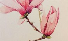 属木人2022年运势