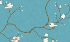 虎年几月出生最好命