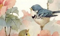 05年属鸡男生在2022年运势