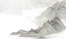 95年狗男2022的运势