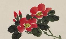 97年出生的人2022年运势