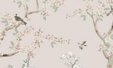 旅行中只在意体验对摄影毫无兴趣的星座