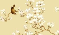 属虎2022年运势大家找