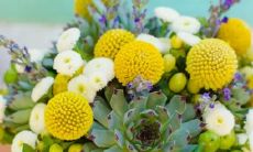 想要轻松瘦身 这些星座居然去学了ps