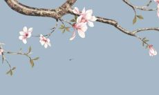 属鸡白羊女2022年感情运势