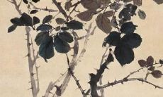 属兔男性2022年的运势