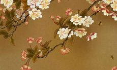 生肖属虎86年一生命运