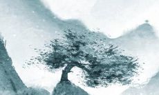 麦玲玲2022年蛇男的全年运势