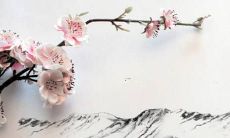 2022年属羊人整体运势