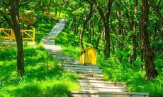 梦见生儿子老公送人