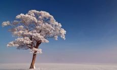 天秤男试探你的方式 天秤男对你无感的表现